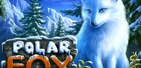 polar fox